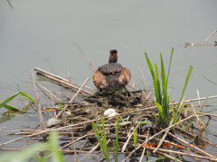 DSCN9608.JPG