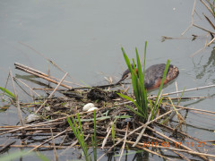 DSCN9609.JPG