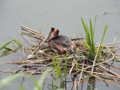 DSCN9613.JPG