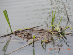 DSCN9614.JPG