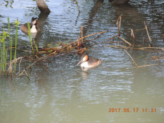DSCN9615.JPG
