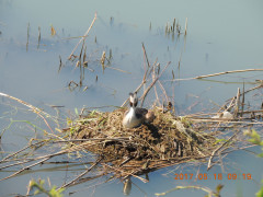 DSCN9632.JPG