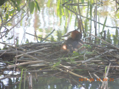 DSCN9633.JPG