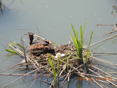DSCN9636.JPG