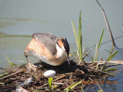 DSCN9647.JPG
