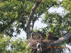 DSCN9767.JPG