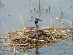 DSCN9725.JPG