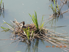 DSCN9744.JPG