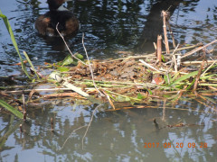 DSCN9743.JPG
