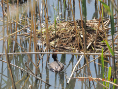 DSCN9747.JPG