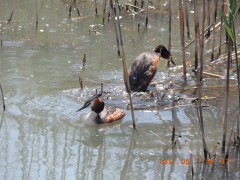 DSCN9753.JPG