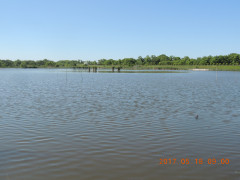 DSCN9631.JPG