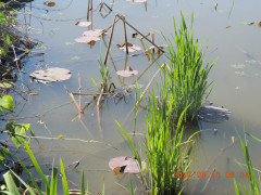 DSCN9625.JPG