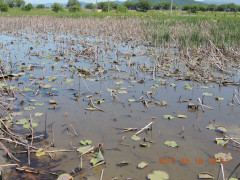 DSCN9671.JPG