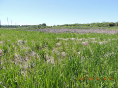 DSCN9672.JPG