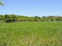 DSCN9673.JPG