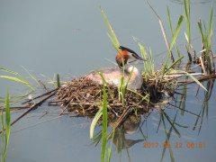 DSCN9827.JPG