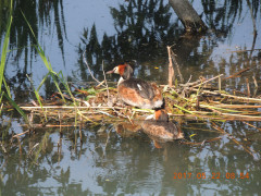 DSCN9831.JPG