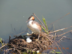 DSCN9895.JPG
