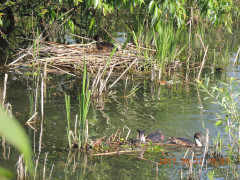 DSCN9904.JPG