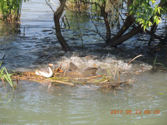 DSCN9998.JPG
