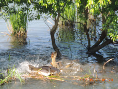 DSCN9995.JPG