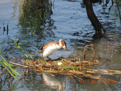 DSCN9964.JPG