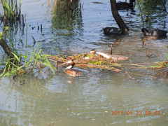 DSCN9979.JPG