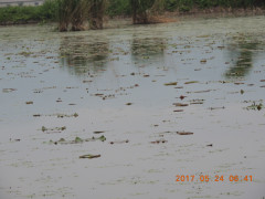 DSCN9846.JPG
