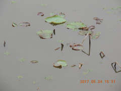 DSCN9863.JPG