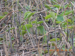 DSCN9858.JPG