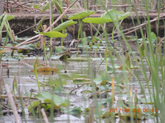 DSCN9861.JPG