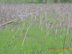 DSCN9857.JPG