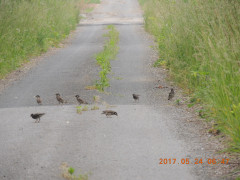 DSCN9856.JPG