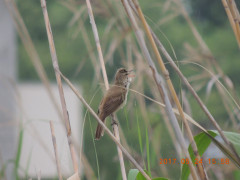 DSCN9874.JPG