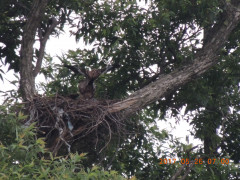 DSCN9937.JPG