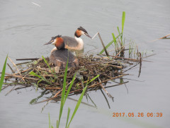 DSCN9921.JPG