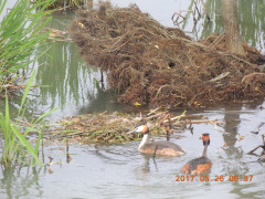 DSCN9917.JPG