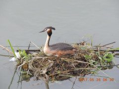 DSCN9922.JPG