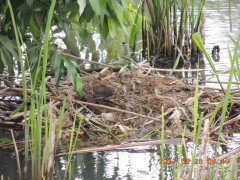 DSCN9986.JPG