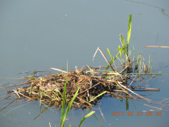 DSCN9962.JPG