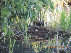 DSCN9959.JPG