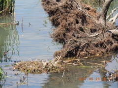 DSCN9998.JPG
