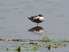 DSCN9928.JPG