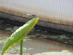 DSCN9922.JPG