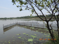 DSCN9920.JPG