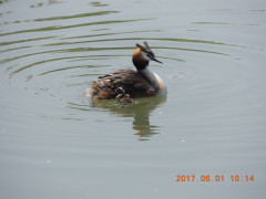 DSCN0116.JPG
