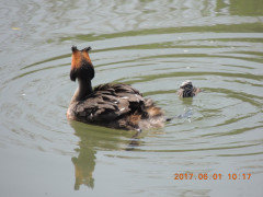 DSCN0123.JPG