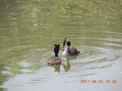 DSCN0125.JPG