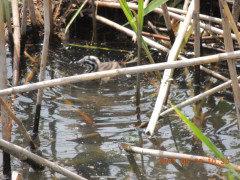 DSCN9988.JPG